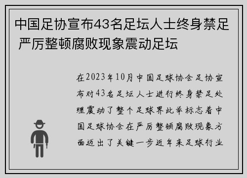 中国足协宣布43名足坛人士终身禁足 严厉整顿腐败现象震动足坛